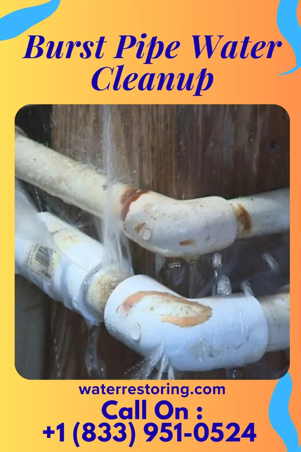 Burst Pipe Water Cleanup in Hollandale, MN
