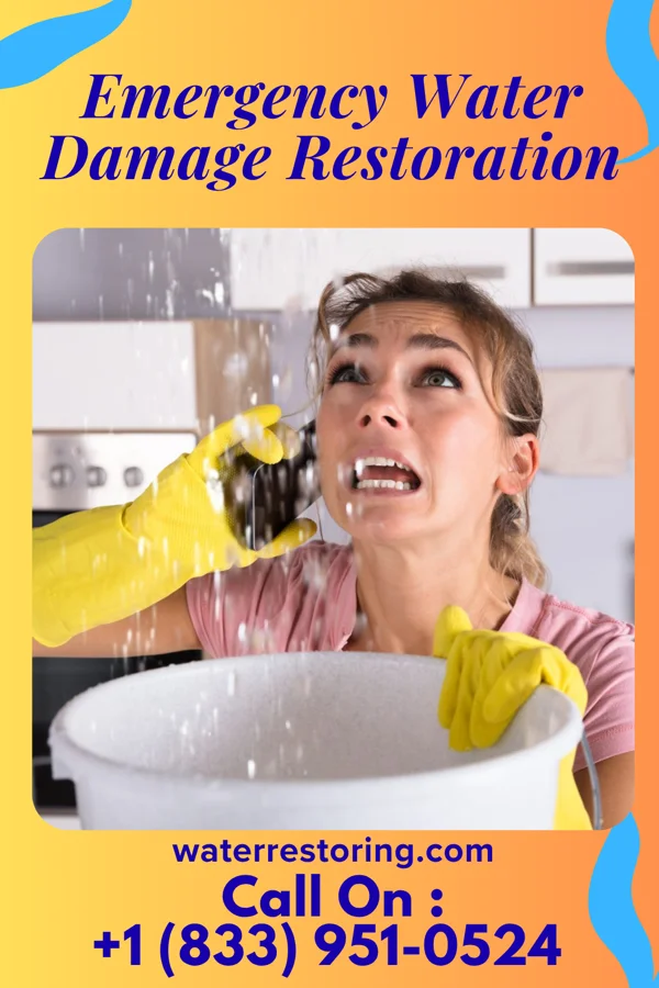 Emergency Water Damage Restoration in Hollandale, MN