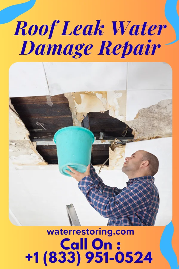 Roof Leak Water Damage Repair in Hollandale, MN