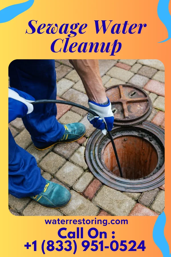 Sewage Water Cleanup in Hollandale, MN